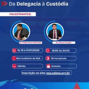 PALESTRA: DA DELAGACIA À CUSTÓDIA